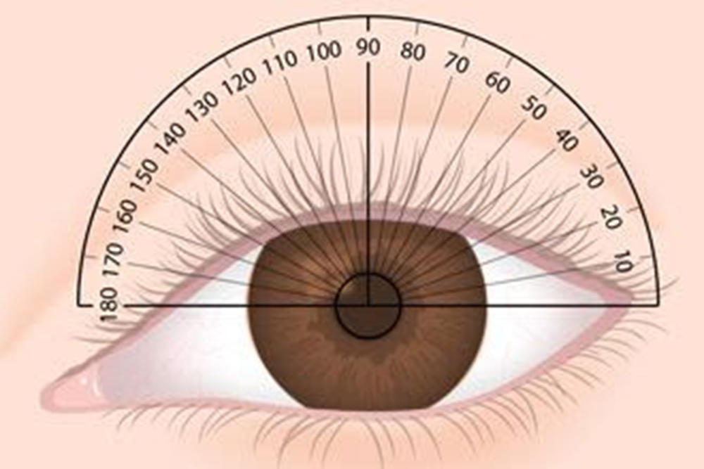 Quam legere tuum eyeglasses prescription2